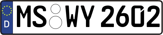 MS-WY2602