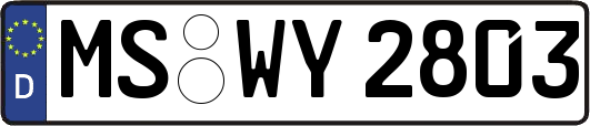 MS-WY2803