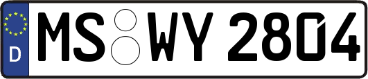 MS-WY2804