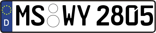 MS-WY2805