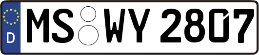 MS-WY2807