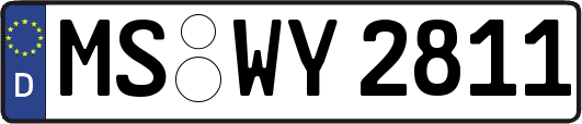 MS-WY2811