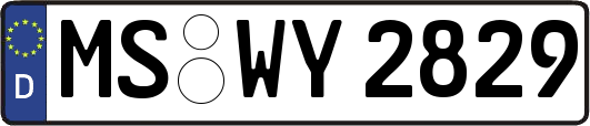 MS-WY2829