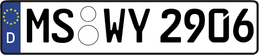 MS-WY2906