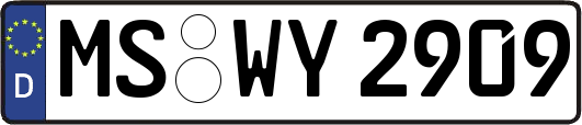 MS-WY2909