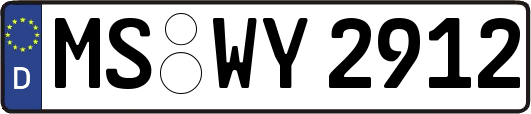 MS-WY2912