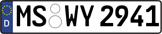 MS-WY2941