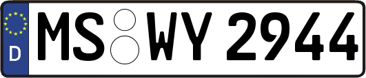 MS-WY2944