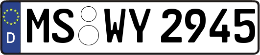 MS-WY2945
