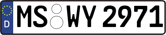 MS-WY2971