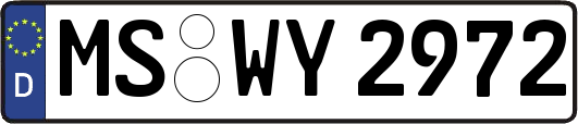MS-WY2972
