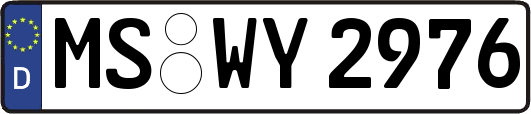 MS-WY2976