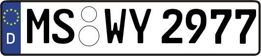 MS-WY2977