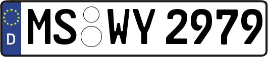 MS-WY2979