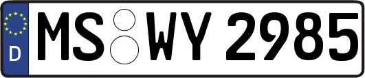 MS-WY2985