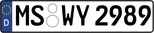 MS-WY2989