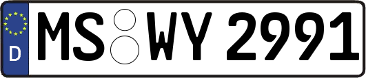 MS-WY2991