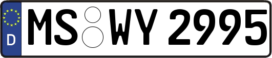 MS-WY2995