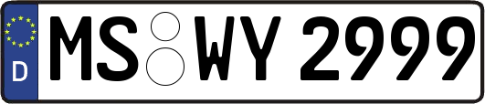 MS-WY2999