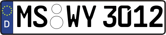 MS-WY3012