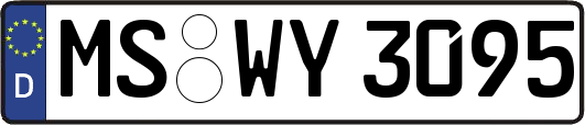 MS-WY3095