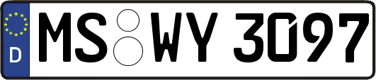 MS-WY3097