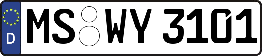 MS-WY3101