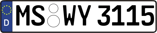MS-WY3115