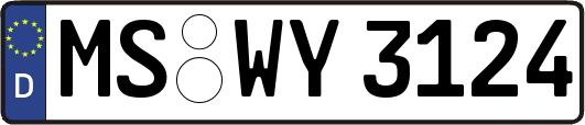 MS-WY3124