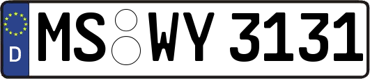MS-WY3131