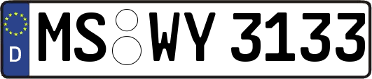 MS-WY3133