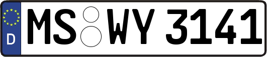 MS-WY3141