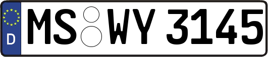 MS-WY3145