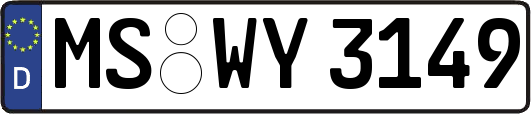 MS-WY3149