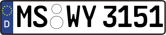 MS-WY3151
