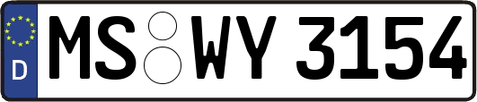 MS-WY3154