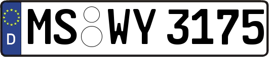 MS-WY3175