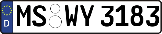 MS-WY3183