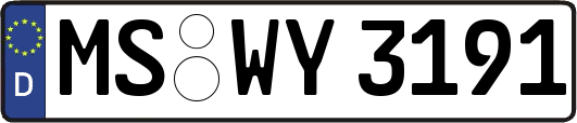 MS-WY3191