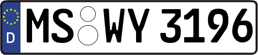 MS-WY3196