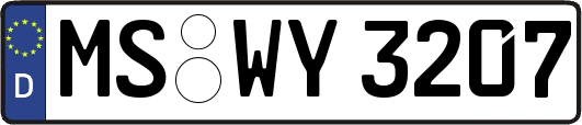 MS-WY3207