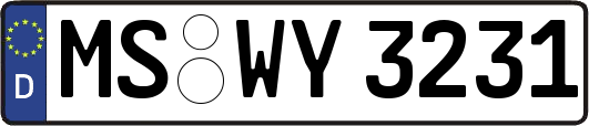 MS-WY3231