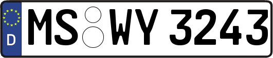 MS-WY3243