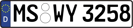 MS-WY3258