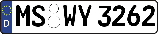 MS-WY3262