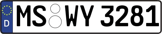 MS-WY3281