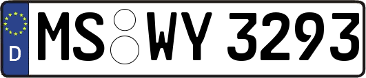 MS-WY3293