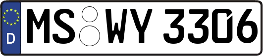 MS-WY3306