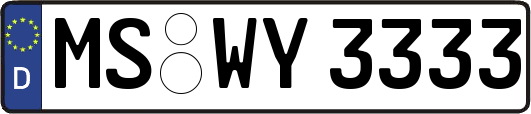 MS-WY3333