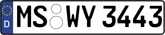 MS-WY3443
